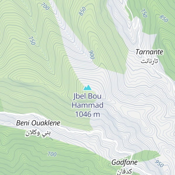 Map of Jbel Bou Hammad