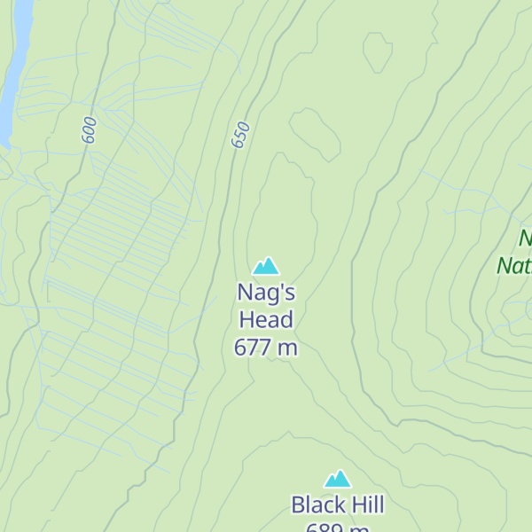 Map of Nag's Head