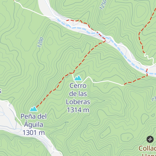 Map of Cerro de las Loberas