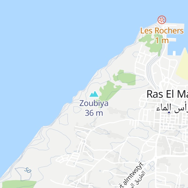 Map of Zoubiya