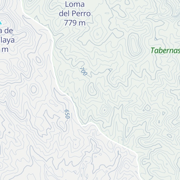 Map of Cerro los Corralitos