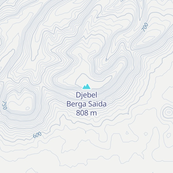 Map of Djebel Berga Saïda