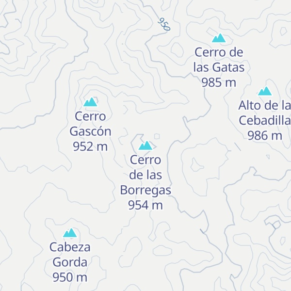Map of Cerro de las Borregas