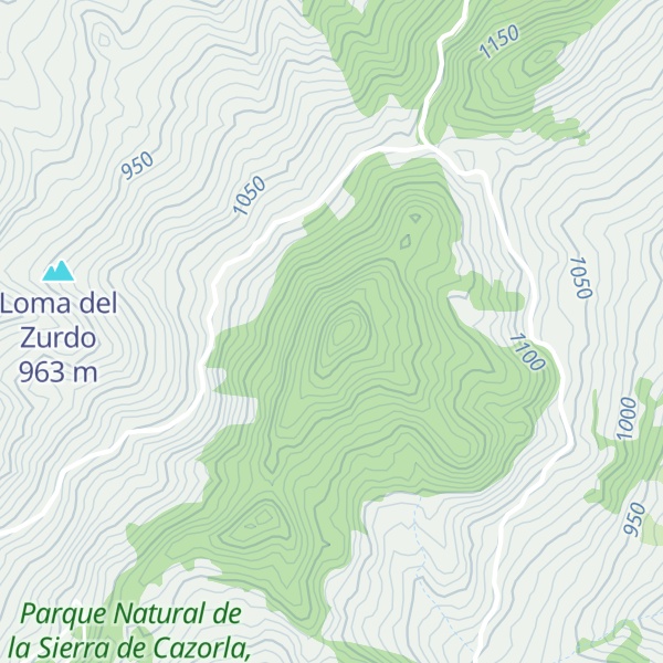 Map of Picazo
