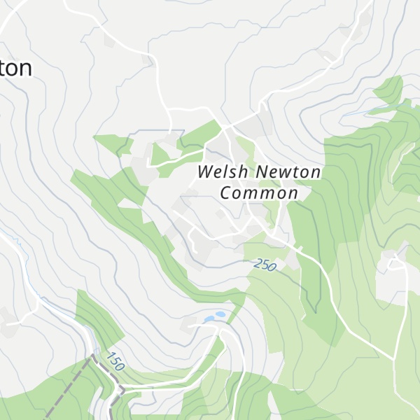 Map of Welsh Newton Common