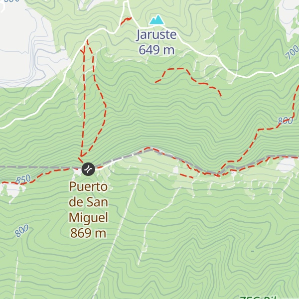 Map of San Miguel