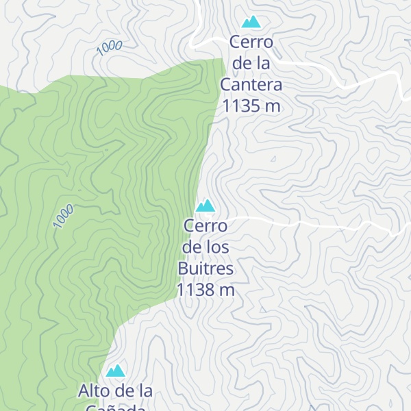 Map of Cerro de los Buitres