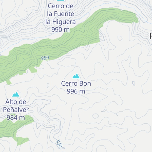 Map of Cerro Bon