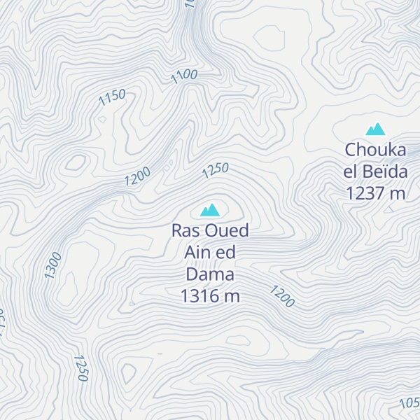 Map of Ras Oued Ain ed Dama
