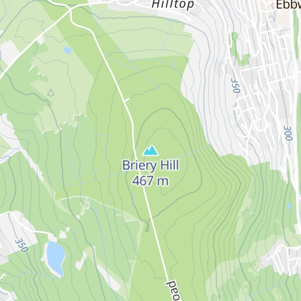 Map of Briery Hill