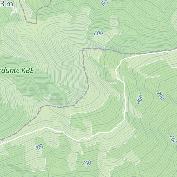 Map of Burgueño