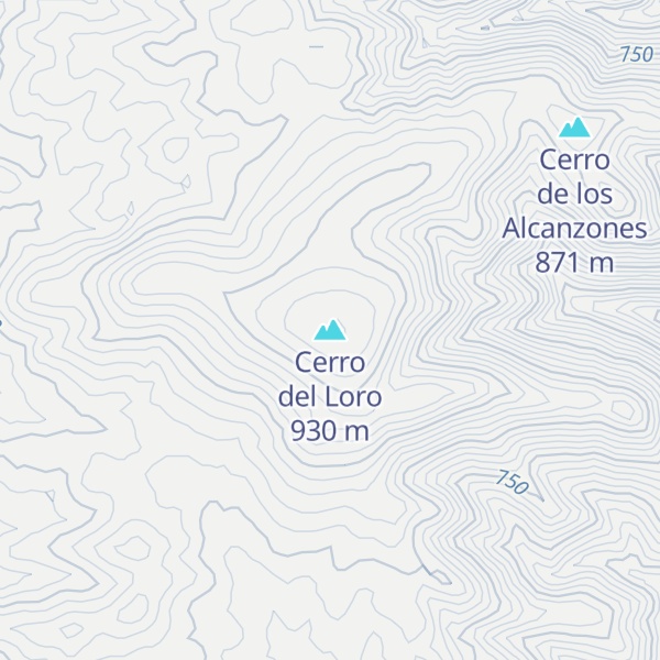 Map of Cerro del Loro