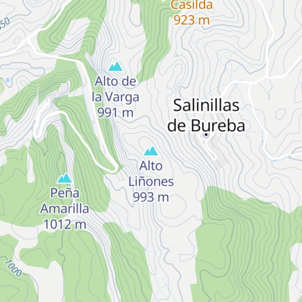 Map of Alto Liñones
