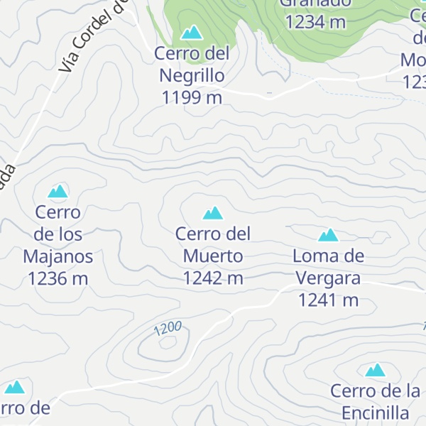 Map of Cerro del Muerto