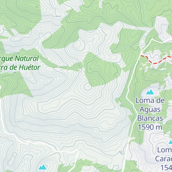Map of Cerro de Buenavista