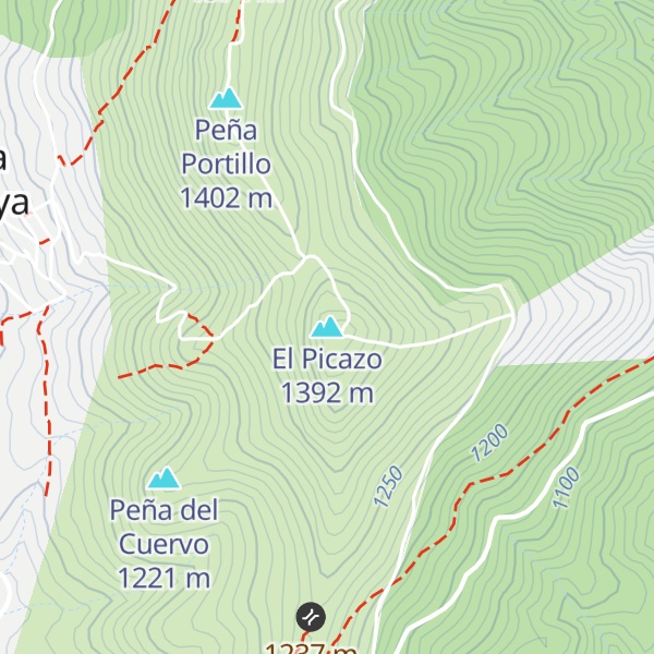 Map of El Picazo