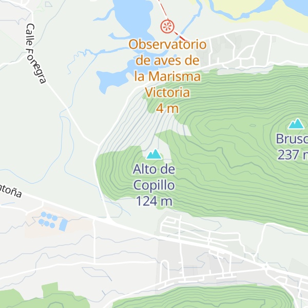 Map of Alto de Copillo