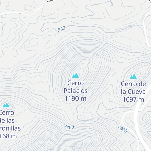 Map of Cerro Palacios