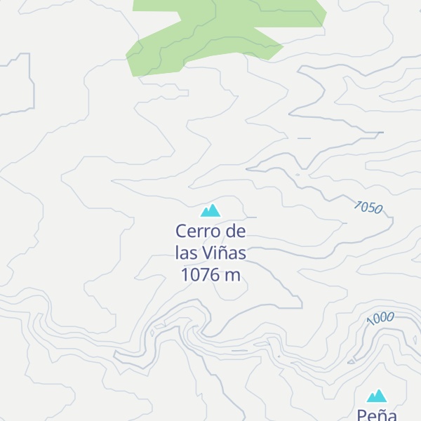 Map of Cerro de las Viñas