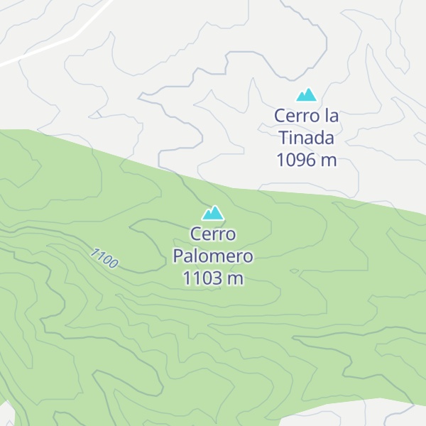 Map of Cerro Palomero