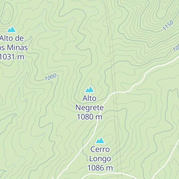 Map of Alto Negrete