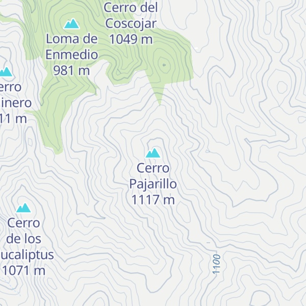 Map of Cerro Pajarillo
