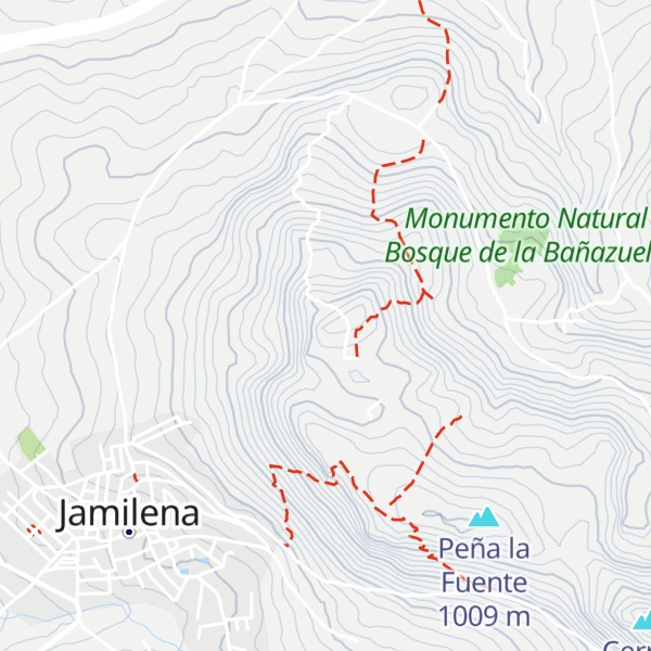 Map of Cerro de Miguelico