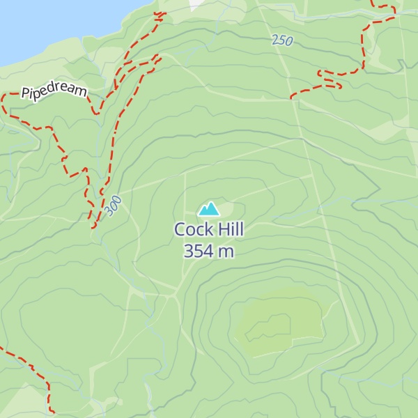 Map of Cock Hill