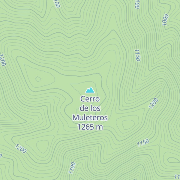 Map of Cerro de los Muleteros