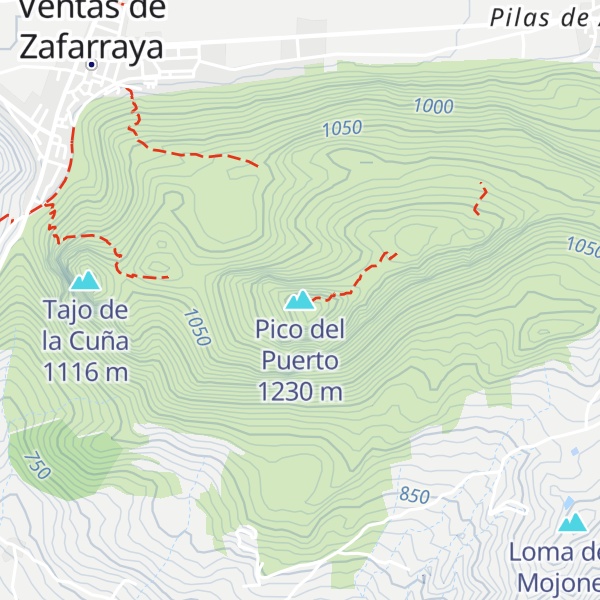 Map of Pico del Puerto