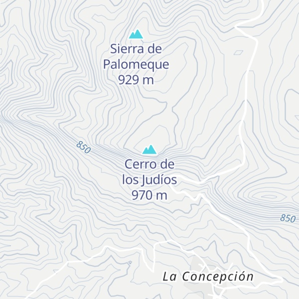 Map of Cerro de los Judíos