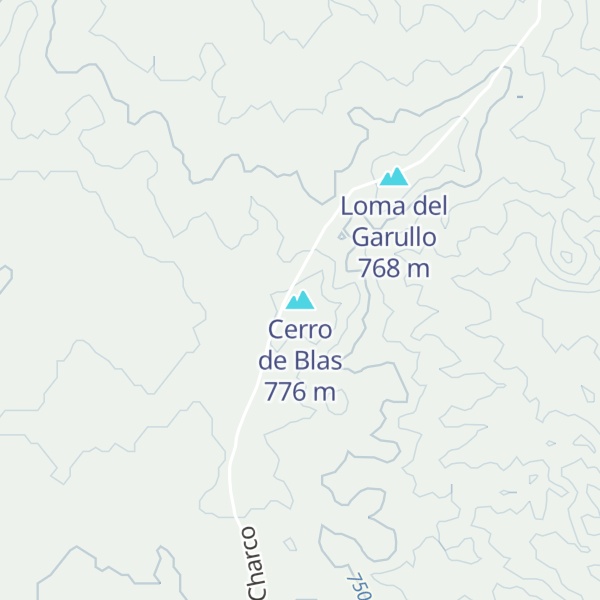 Map of Cerro de Blas