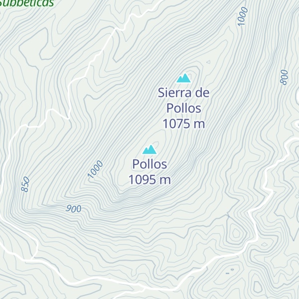 Map of Pollos