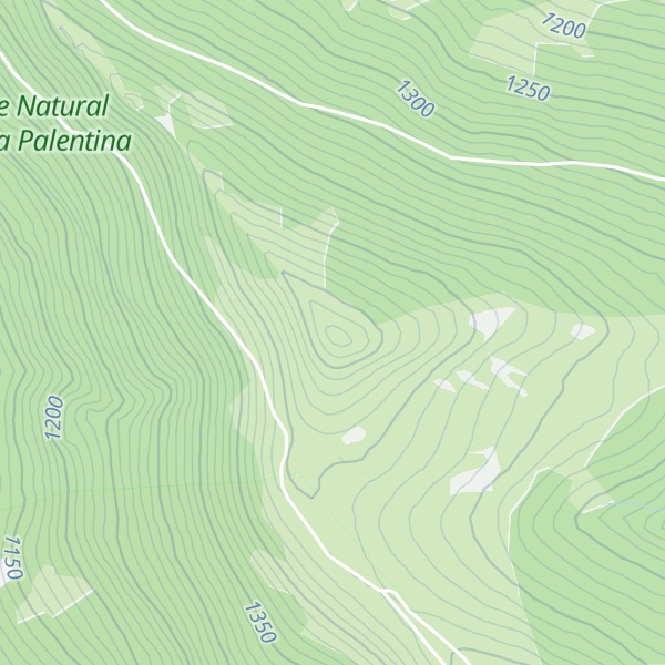 Map of Cotejón