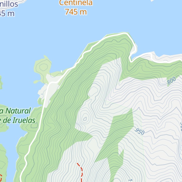 Map of Cerro de la Laguna
