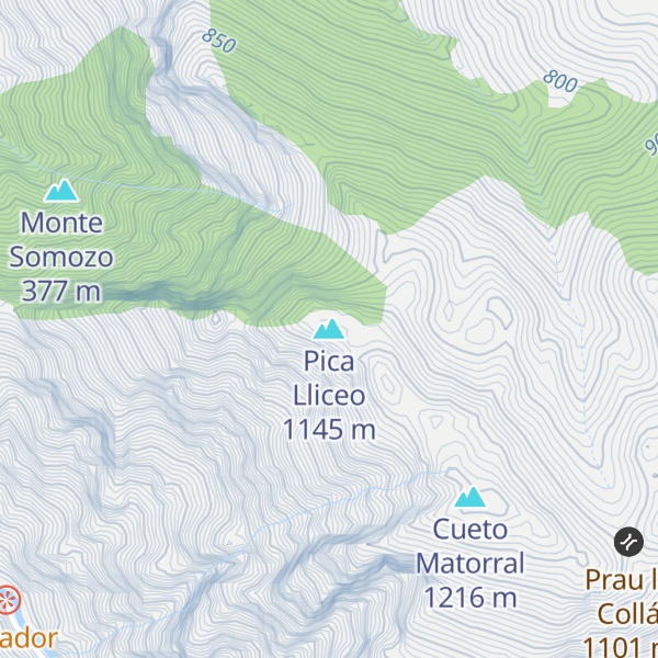 Map of Pica Lliceo