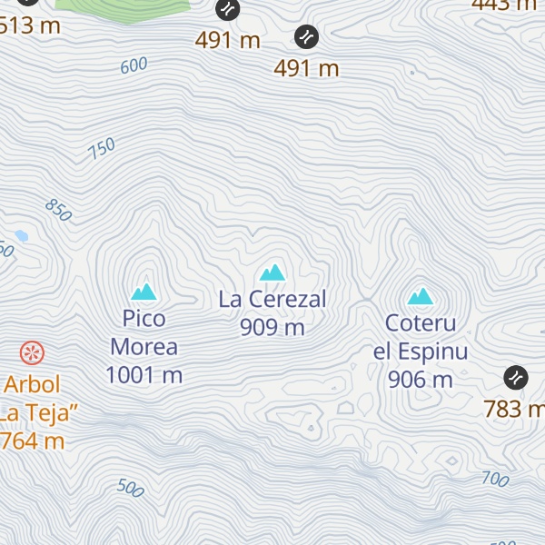Map of La Cerezal