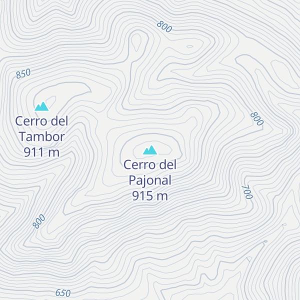 Map of Cerro del Pajonal