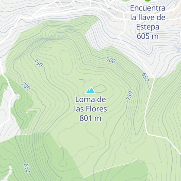 Map of Loma de las Flores