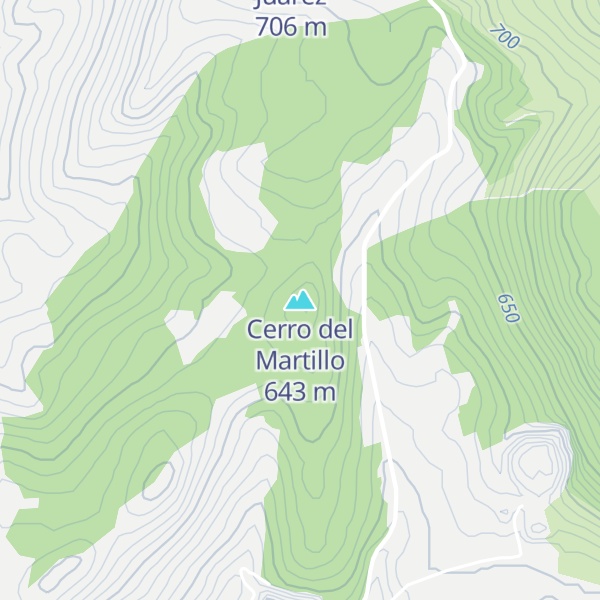 Map of Cerro del Martillo