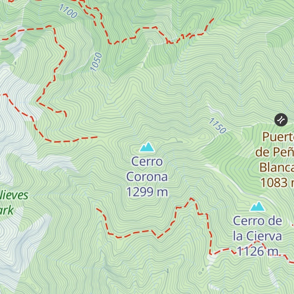 Map of Cerro Corona