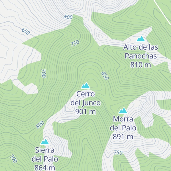 Map of Cerro del Junco