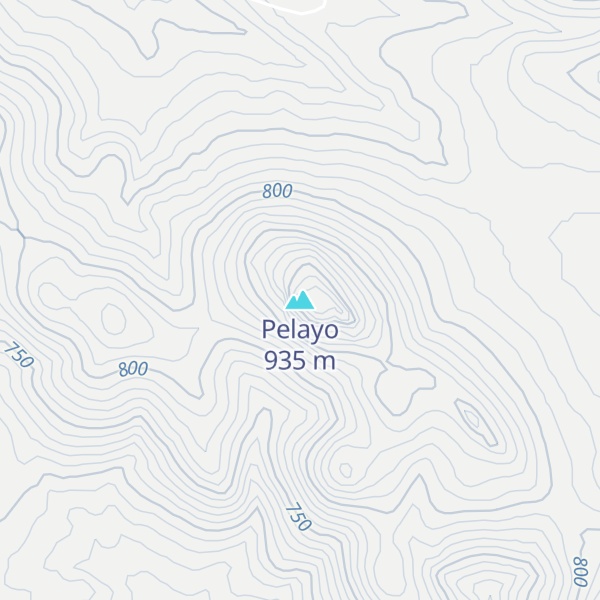 Map of Pelayo