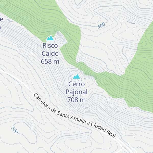 Map of Cerro Pajonal