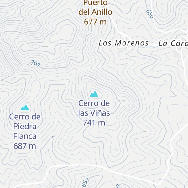 Map of Cerro de las Viñas