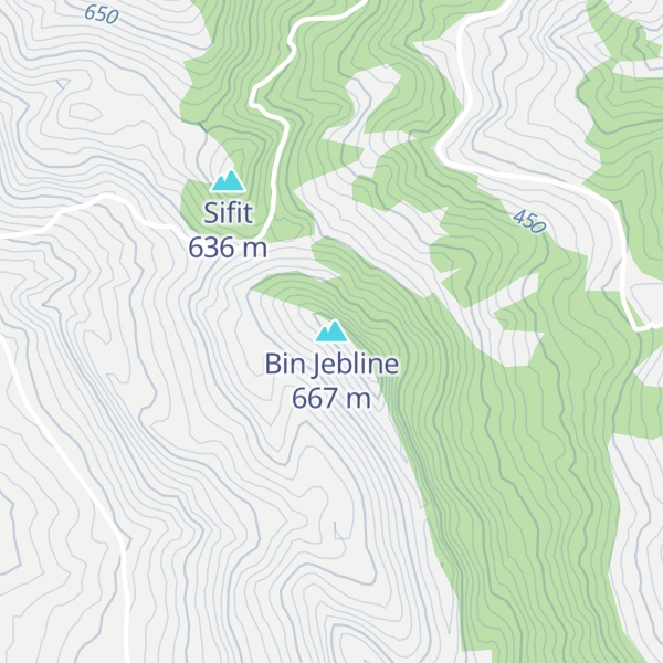 Map of Bin Jebline