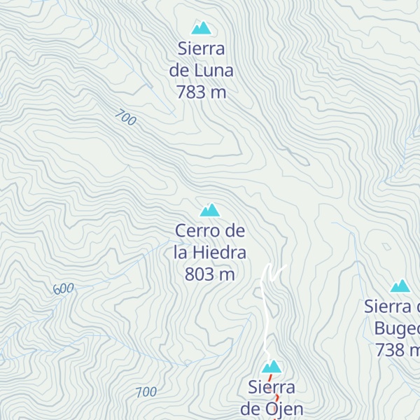 Map of Cerro de la Hiedra