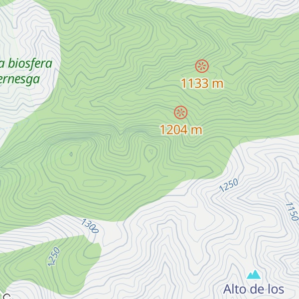 Map of Pico del Águila