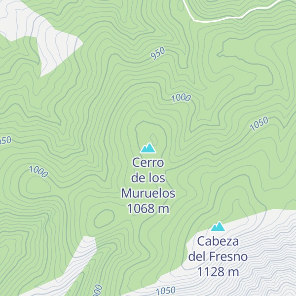 Map of Cerro de los Muruelos