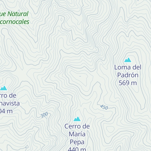 Map of Cerro del Toro